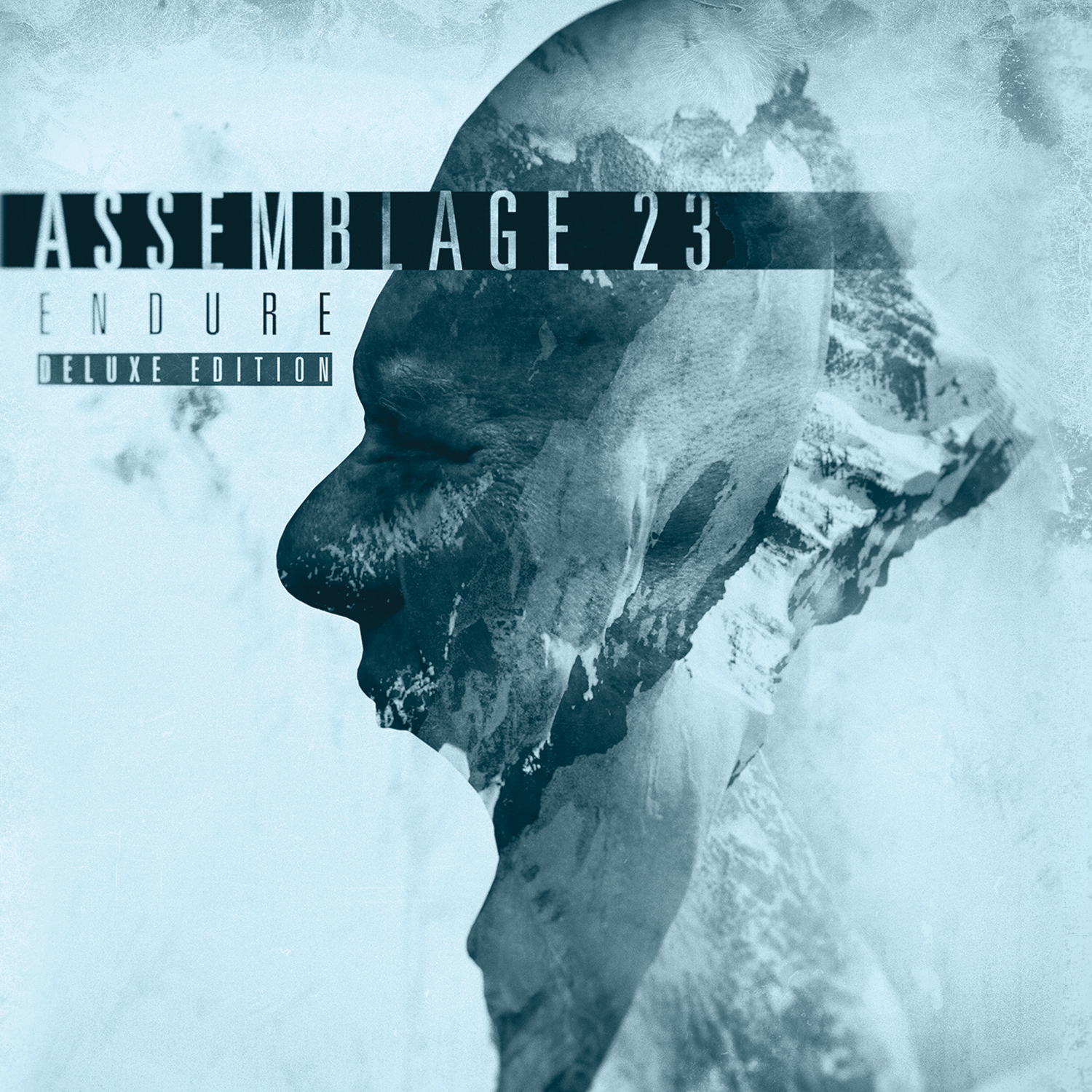 Copertina discografica originale: Endure